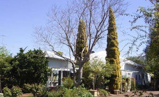 Jacaranda Guest House Busselton Zewnętrze zdjęcie