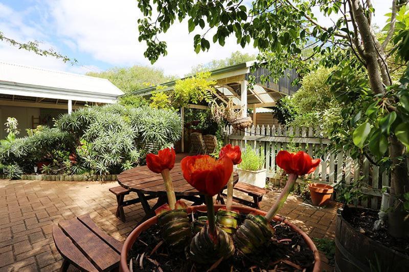 Jacaranda Guest House Busselton Zewnętrze zdjęcie